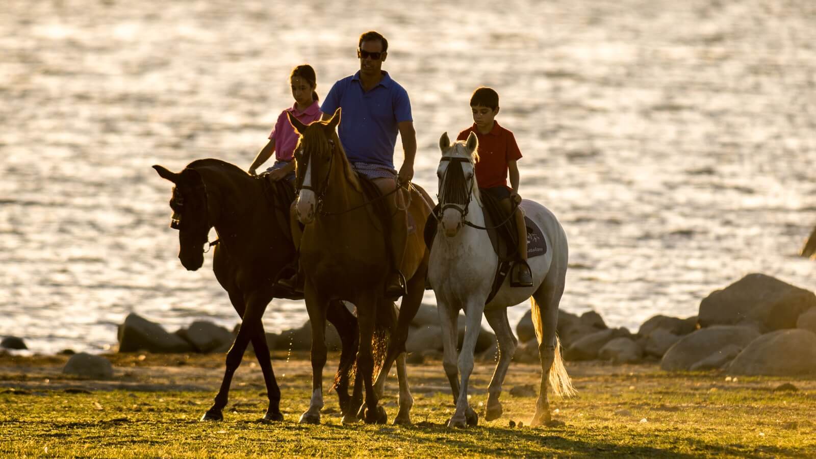 Cavalos em passeio junto ao Alqueva