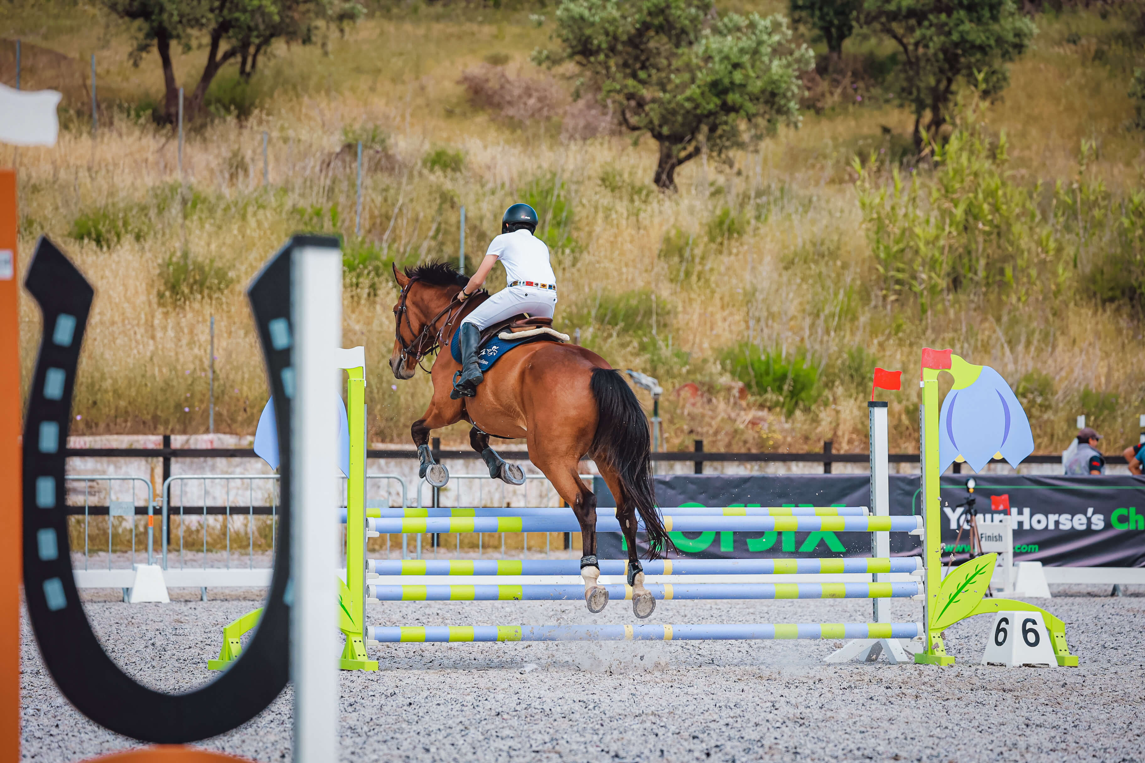 Cavaleiro em prova de obstáculos em pista exterior