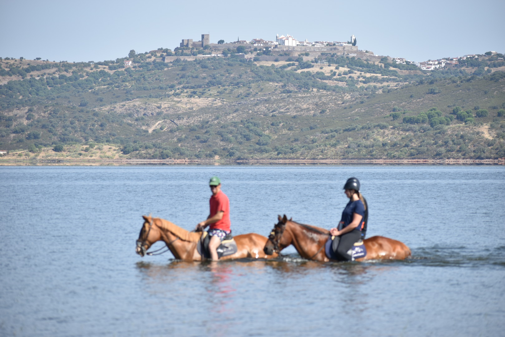 Cavalos em passeio junto ao Alqueva
