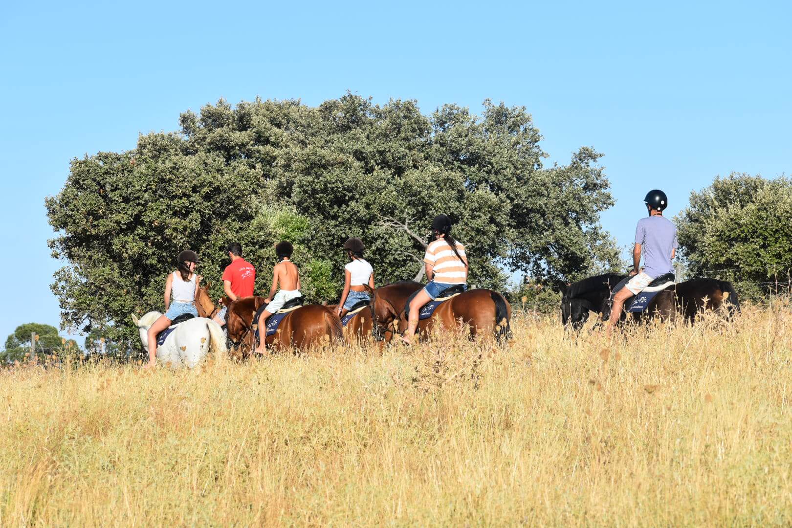 Grupo a cavalo em passeio no campo ao final do dia
