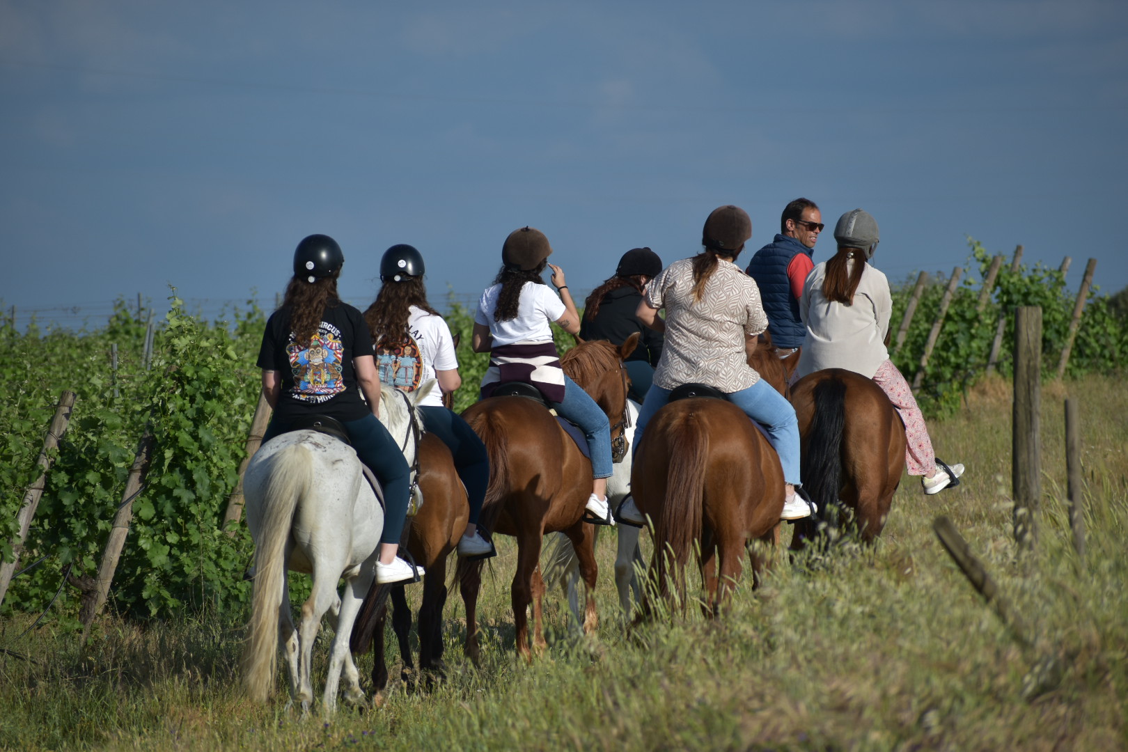 Passeio a cavalo no campo